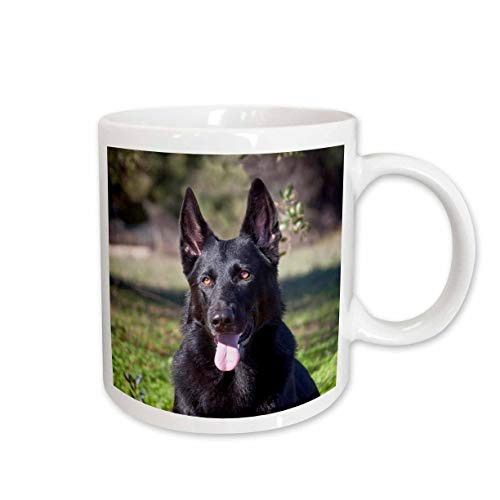 3dRose Portrait of a German Shepherd dog Mug, 15 oz, Ceramic