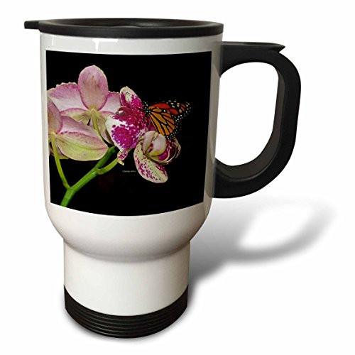 3dRose Monarch Travel Mug, 14 oz, Multicolor 3dRose Monarch Travel Mug, 14 oz, Multicolor