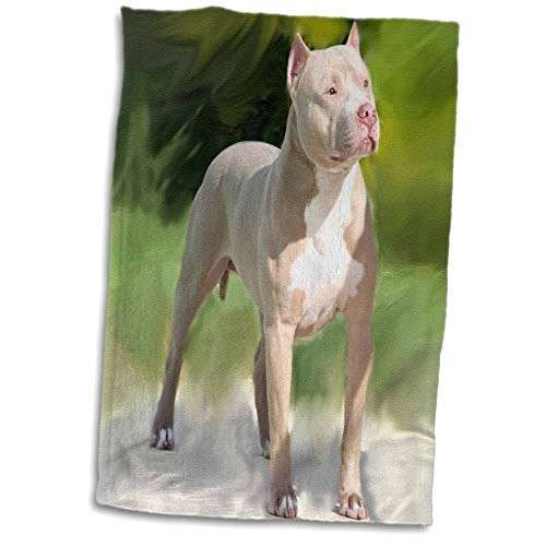 3D Rose American Pit Bull Terrier Towel, 15 x 22