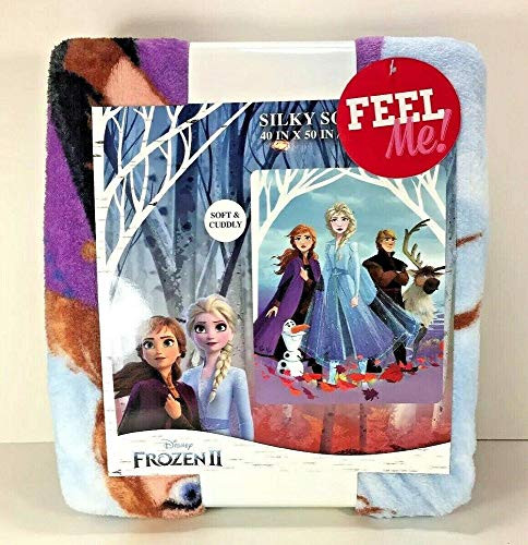 Northwest Enterprise Frozen 2 Silky Soft Throw Blanket Lead with Courage 40 inch x 50 inch