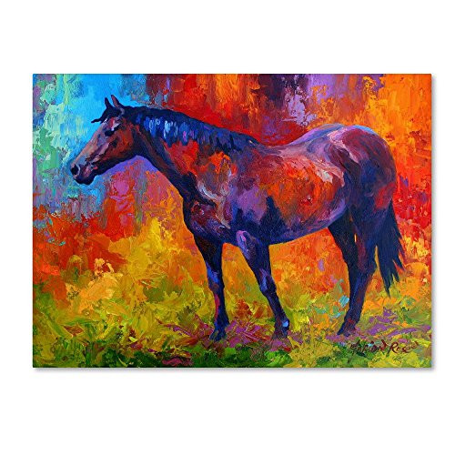 Bay Mare I by Marion Rose, 14x19-Inch Canvas Wall Art