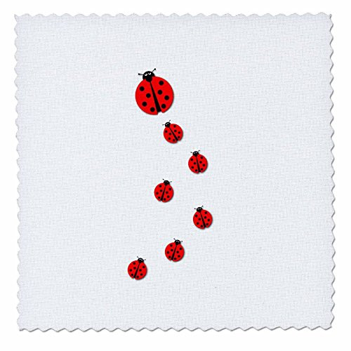 3D Rose Ladybugs Family Walking On White Background Square 14 by 14 Inch Quilt, 14 x 14 3D Rose Ladybugs Family Walking On White Background Square 14 by 14 Inch Quilt, 14 x 14