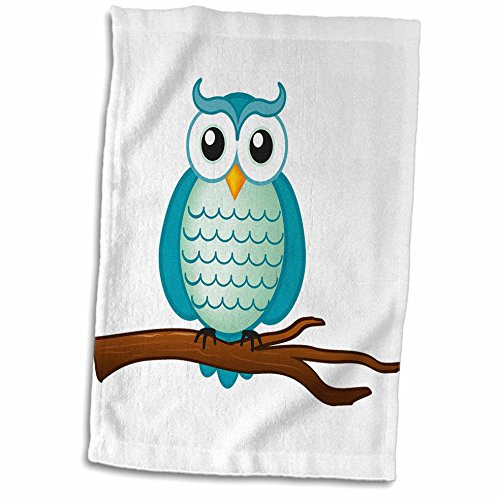 3D Rose Aqua Wise Owl Towel, 15" x 22", Multicolor