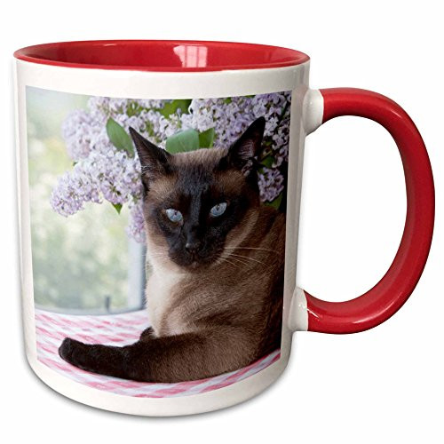 3dRose 140344_5 Siamese cat on Tablecloth with lilacs-NA02 PWO0102-PiperAnne Worcester Ceramic Mug, 11oz, Red/White 3dRose 140344_5 Siamese cat on Tablecloth with lilacs-NA02 PWO0102-PiperAnne Worcester Ceramic Mug, 11oz, Red/White
