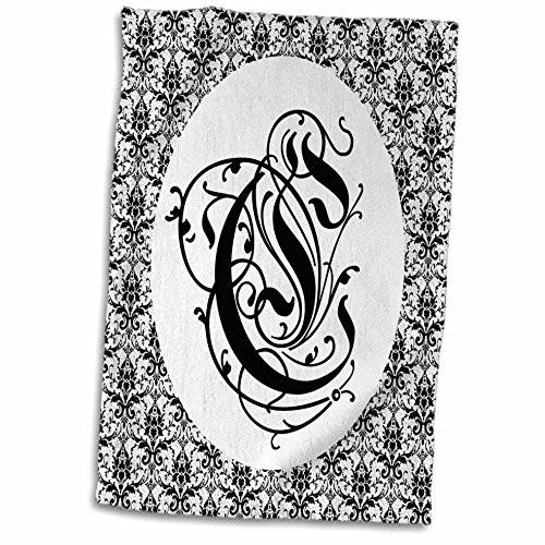 3dRose Squirrel Whisperer Towels, 15" x 22", White