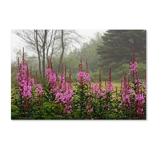 Campobello Lupine by Mike Jones Photo, 12x19-Inch Canvas Wall Art