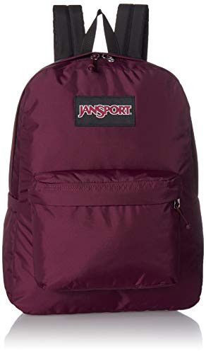JanSport Ashbury 15 Inch Laptop Backpack - Comfortable School Pack, Dried Fig