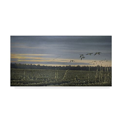 Canada Geese by Wilhelm Goebel, 10x19-Inch