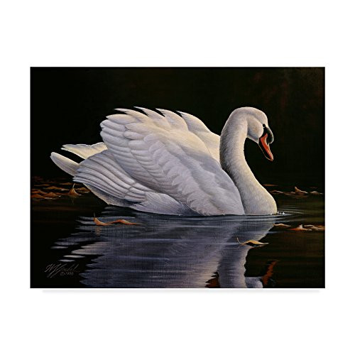 Reflection Mute Swan by Wilhelm Goebel, 14x19-Inch