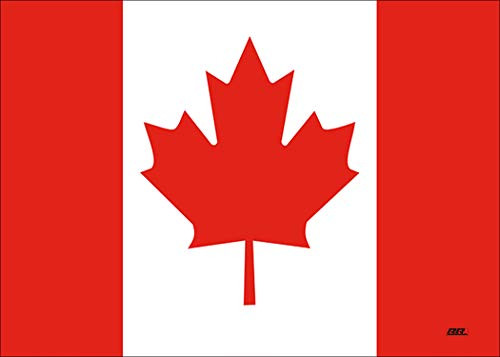 Rogue River Tactical Large Canada Canadian Maple Leaf Flag Canvas Print Wall Decor Art Decoration 20x16 Inch