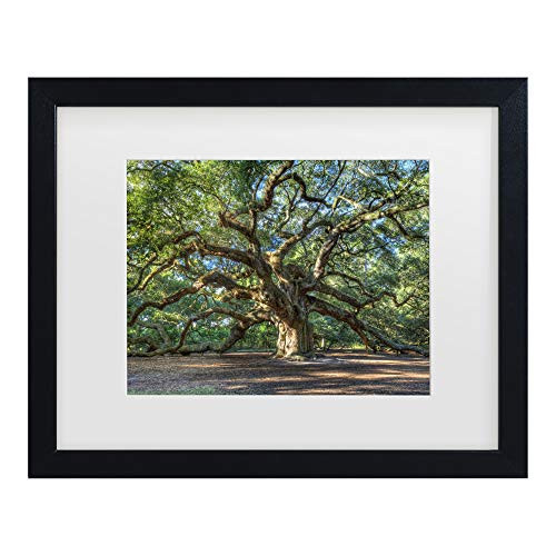 Trademark Fine Art Angel Oak Charleston by Pierre Leclerc, White Matte, Black Frame 16x20-Inch, 16x20 Trademark Fine Art Angel Oak Charleston by Pierre Leclerc, White Matte, Black Frame 16x20-Inch, 16x20