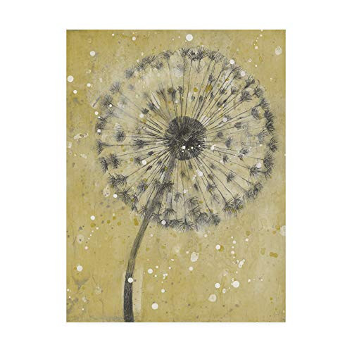 Trademark Fine Art Dandelion Abstract I by Tim Otoole, 14x19