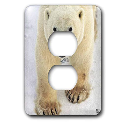 3dRose lsp_10719_6 Polar Bear Close-Up 2 Plug Outlet Cover