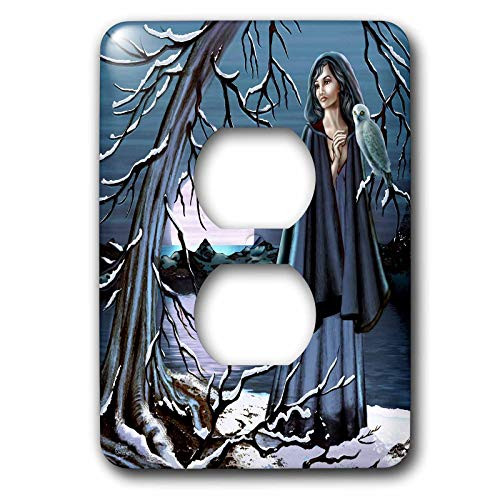 3dRose LLC lsp_11668_6 This Design Features a Portrait of a Woman and The Snowy Owl She Befriends, 2 Plug Outlet Cover