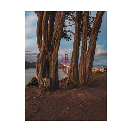 Trademark Fine Art Trees by Bruce Gett, 14x19