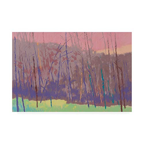 Trademark Fine Art Early Morning Abstract by Mike Kell, 12x19, Multiple