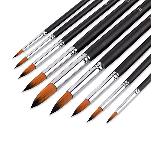 9 Pcs Pointed-Round Art Paintbrushes - Artist Round Paint Brushes Set Paint Brushes Nylon Hair Artist Acrylic Brush Watercolor Oil Painting for Watercolors,Acrylics,Inks,Gouache,Oil and Tempera 9 Pcs Pointed-Round Art Paintbrushes - Artist Round Paint Brushes Set Paint Brushes Nylon Hair Artist Acrylic Brush Watercolor Oil Painting for Watercolors,Acrylics,Inks,Gouache,Oil and Tempera