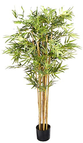Nearly Natural 5' Bambusa Bamboo Silk Artificial Trees, 60in, Green