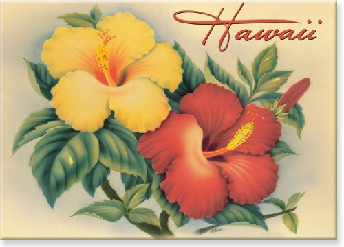 Hawaiian Art Collectible Refrigerator Magnet - Hawaiian Hibiscus
