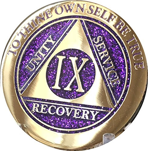 9 Year Elegant Glitter Purple Gold Silver Bi-Plated AA Medallion Chip IX