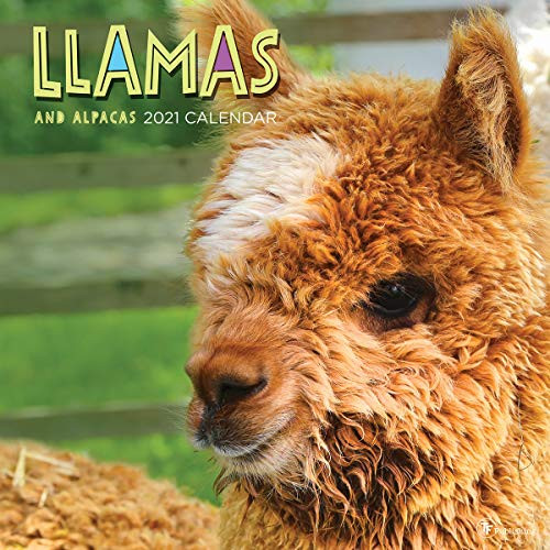 2021 Llamas 12"x12" Wall Calendar