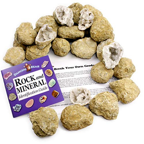 50 Break Your Own Geodes, 90% Hollow Large ( 2-2.5) Easy Crack Open & Discover Surprise Crystals Inside! Educational Info and Instructions Included, Fun Party Favors & Prizes, Dancing Bear Brand