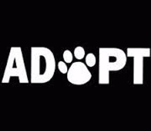Chase Grace Studio Adopt A Dog Dogs Vinyl Decal Sticker|White|Cars Trucks Vans SUV Laptops Wall Art|7" X 2.25"|CGS479 Chase Grace Studio Adopt A Dog Dogs Vinyl Decal Sticker|White|Cars Trucks Vans SUV Laptops Wall Art|7" X 2.25"|CGS479