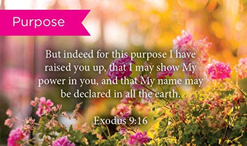 Pass Along Pocket Scripture Cards, Purpose, Exodus 9:16, Pack of 25