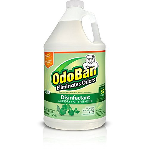 OdoBan Multipurpose Cleaner Concentrate, 1 Gal, Original Eucalyptus Scent - Odor Eliminator, Disinfectant, Flood Fire Water Damage Restoration OdoBan Multipurpose Cleaner Concentrate, 1 Gal, Original Eucalyptus Scent - Odor Eliminator, Disinfectant, Flood Fire Water Damage Restoration
