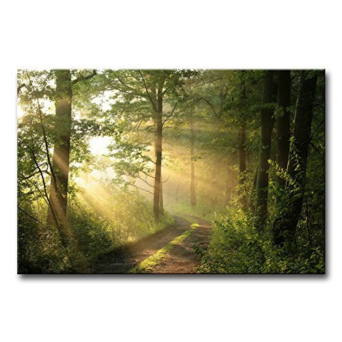 Wall Art Forest Modern Canvas Painting The Picture for Home Decoration Green Trees Foggy Morning Spring Landscape Print On Canvas Giclee Artwork for Wall Dec (Renewed)