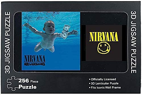 Nirvana Nevermind 3D Puzzle (256 Pieces)