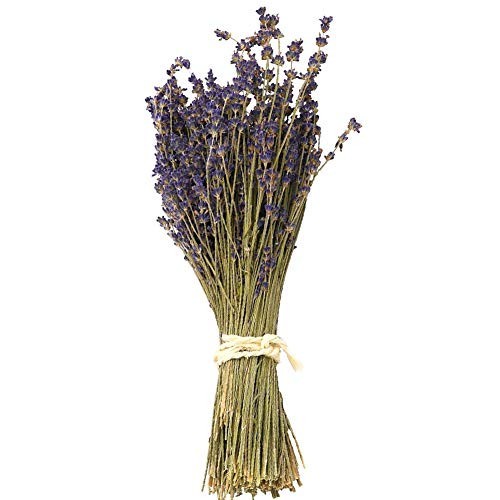 WGIA Natural Dried Lavender Bundles - Freshly Harvested Lavender Bunch Royal Velvet Decorative Flowers Bouquet for Wedding DIY Home Party & Valentine's Day Gifts - 1 Bundle Pack