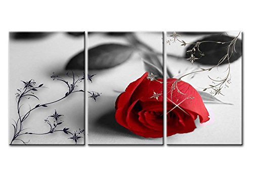 So Crazy Art- Red Rose Wall Art Decor Flower On The Black and White Background Canvas Pictures Artwork 3 Panel Modern Painting Prints for Home Living Dining Room Kitchen So Crazy Art- Red Rose Wall Art Decor Flower On The Black and White Background Canvas Pictures Artwork 3 Panel Modern Painting Prints for Home Living Dining Room Kitchen