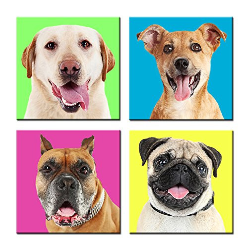 Kreative Arts - Modern Giclee Prints Artwork Cute Dogs Pictures Colorful Photo Paintings Print on Canvas Wall Art for Home Decor Stretched and Framed Ready to Hang (16''x16''x4pcs/Set) Kreative Arts - Modern Giclee Prints Artwork Cute Dogs Pictures Colorful Photo Paintings Print on Canvas Wall Art for Home Decor Stretched and Framed Ready to Hang (16''x16''x4pcs/Set)