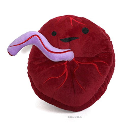 I Heart Guts Placenta Plush - Baby's First Roommate - 10" Odd Baby Gift Stuffed Toy