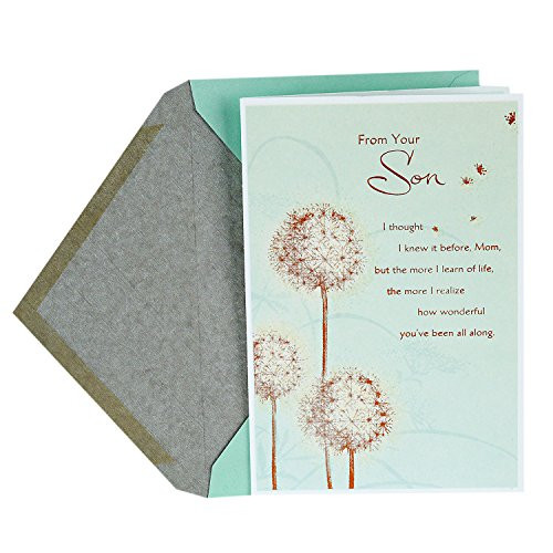 Hallmark Mother's Day Card from Son (Appreciation) (0499MBC8045)