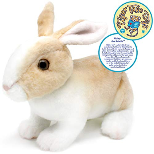VIAHART Ridley The Rabbit | 11 Inch Realistic Stuffed Animal Plush Bunny | by Tiger Tale Toys VIAHART Ridley The Rabbit | 11 Inch Realistic Stuffed Animal Plush Bunny | by Tiger Tale Toys