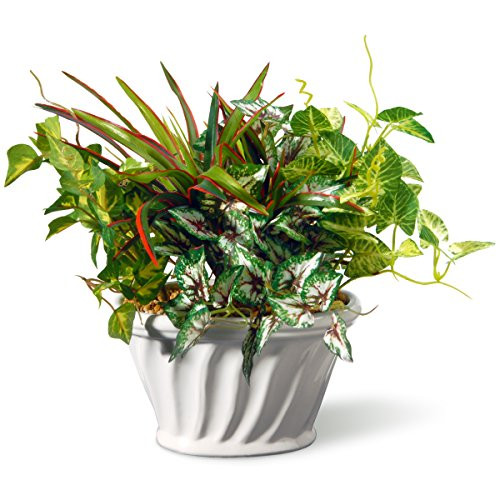 National Tree 11" Table Ceramic Pot Plant