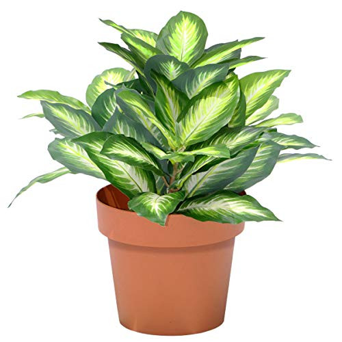 National Tree 15" Hosta Plant, Green