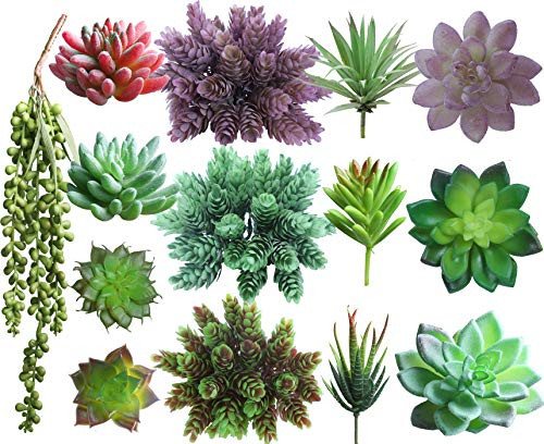 Lasimonne 14 Pcs Faux Succulent Assorted -Fake Succulent Plants,Unpotted Fake Plants for Decoration,Artificial Succulents Picks, Fake Succulent Bouquet Lasimonne 14 Pcs Faux Succulent Assorted -Fake Succulent Plants,Unpotted Fake Plants for Decoration,Artificial Succulents Picks, Fake Succulent Bouquet