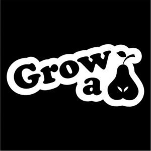 CCI Grow A Pair Funny JDM Pear Decal Vinyl Sticker|Cars Trucks Vans Walls Laptop| White |7.5 x 3.25 in|CCI1327