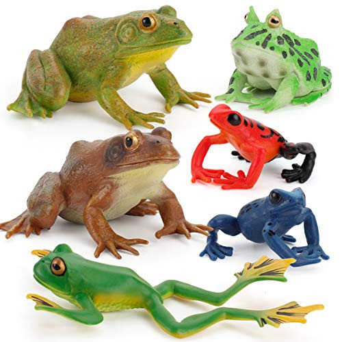 Fantarea Realistic 6 PCS Animal Frog Bullfrog Model Figures Figurine Family Party Favors Supplies Cake Toppers Set Toys for 5 6 7 8 Years Old Boys Girls Kid Toddlers Fantarea Realistic 6 PCS Animal Frog Bullfrog Model Figures Figurine Family Party Favors Supplies Cake Toppers Set Toys for 5 6 7 8 Years Old Boys Girls Kid Toddlers