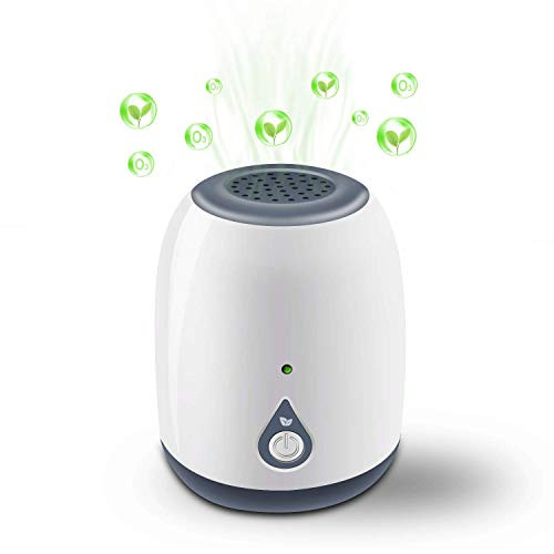 Mini Ozone Generator, Portable Ozone Machine, Odor Eliminator Ozone Cleaner Mini Air Ionizer, Air Cleaner for Odors Eliminating, Travelling, Outdoor, Room, Pets, Cars