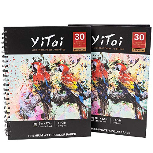 YiTai 9x12 Expert Watercolor Pad, Pack of 2, 60 Sheets (140lb/300gsm), Spiral Bound Artist Drawing Books, Drawing Sketchbook, Durable Acid Free Drawing Paper,Perfect for Wet, Dry & Mixed Media