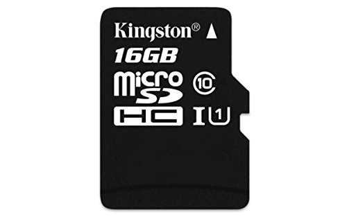 Kingston Digital 16GB Micro SDHC UHS-I Class 10 Industrial Temp Card (SDCIT/16GBSP)
