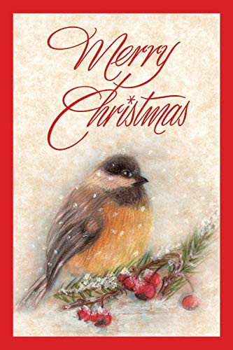 Christmas Boxed Greeting Card Multi-Pack Set (4x6) by Fravessi | 16 Cards + 17 Envelopes | Bird in the Snow Design | Red, White