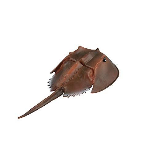 Warmtree Simulated Sea Life Animals Figurines Realistic Sea Creature Model Plastic Ocean Animals Action Figure for Collection Science Educational (Horseshoe Crab)
