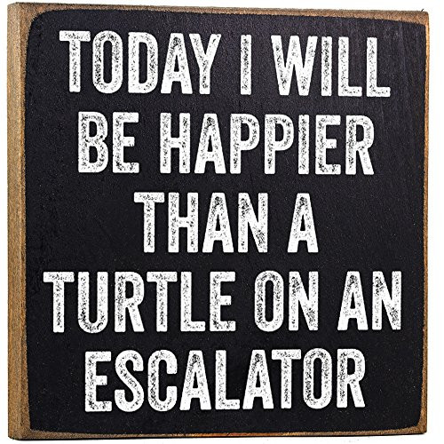 Make Em Laugh Today Turtle Wooden Sign