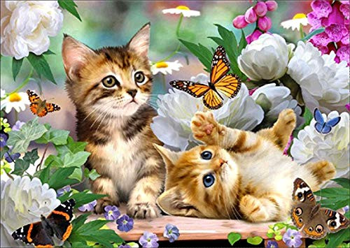 DIY 5D Diamond Painting Cartoon Cat by Number Kits, Painting Cross Stitch Full Drill Crystal Rhinestone Embroidery Pictures Arts Craft for Home Wall Decor Gift (15.7x11.8inch) (Cartoon Cat)