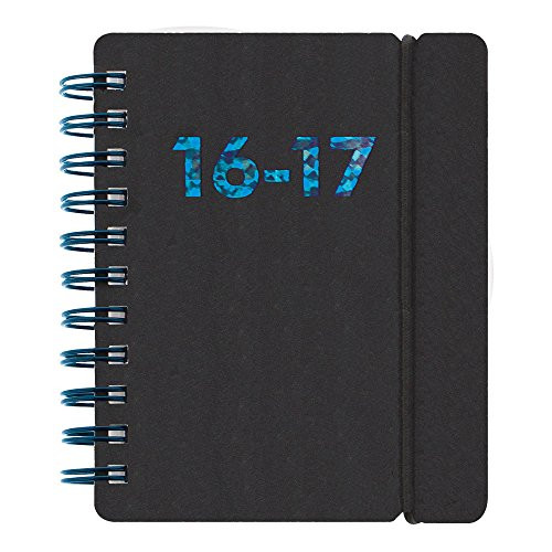 Lett's Daily Academic Planner, August 2016 to July 2017, Assorted Colors, Color May Vary (C030238-17)